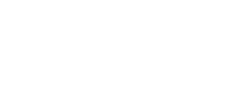 TEXAS REAL ESTATE COMMISSION